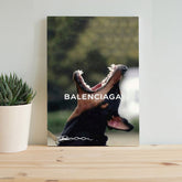 balenciaga